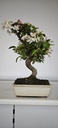 *M 5. Malus 100 euros con envio gratis peninsula.